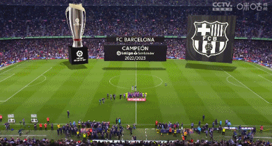 足球世界杯安保升级，启用AI面部识别